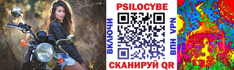 Псилоцибиновые грибы мухоморы  Чкаловск 